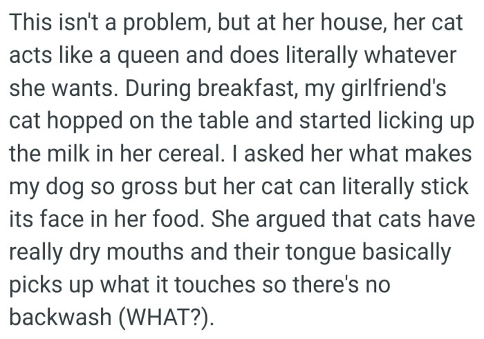 The girlfriend's cat hopped on the table and started licking up the milk in her cereal