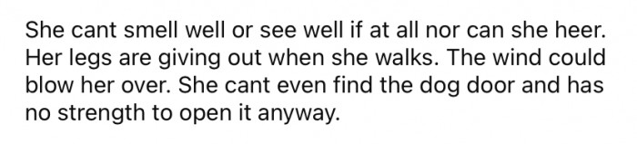 They explained that their family dog is at least 15 or 16 years old, and is no longer able to see or smell very well, if at all, and is also deaf.