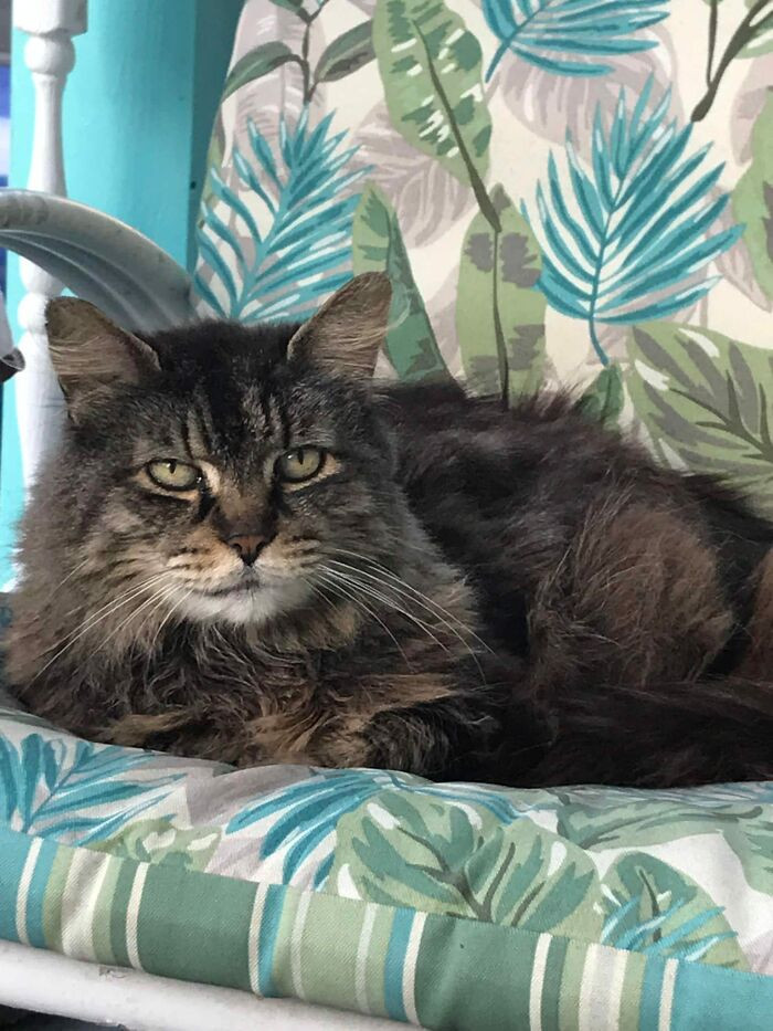 Joe finally found a place he belonged