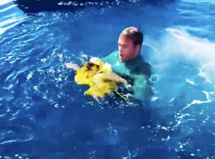 As they got closer, they realized it wasn’t just trash, but a turtle tangled in a yellow balloon