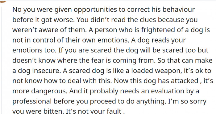 Dogs read emotions: