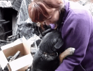 31. Express their gratitude