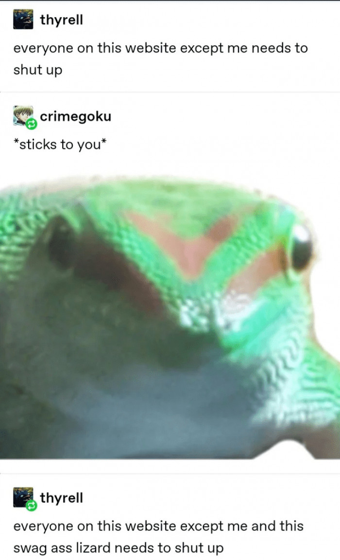 14. Me and this lizard: