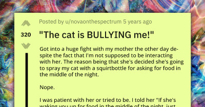 Lady Gets Into A Huge Fight With Her Mom For Spraying Her Cat, Mom Accuses The Cat Of Abusing Her