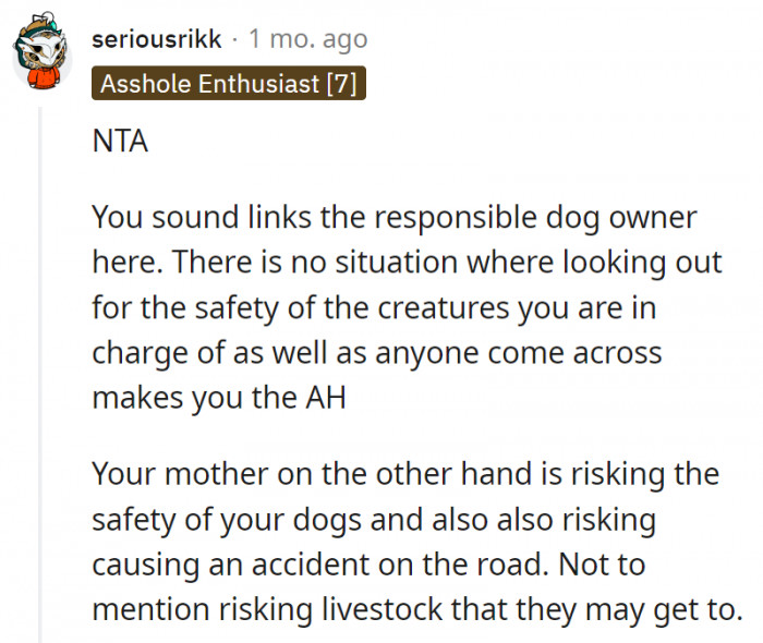 13. OP's mom doesn't seem to be properly considering the risks for the dogs and other people