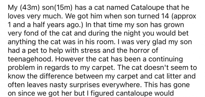 Here's where he begins telling the story about the cat.