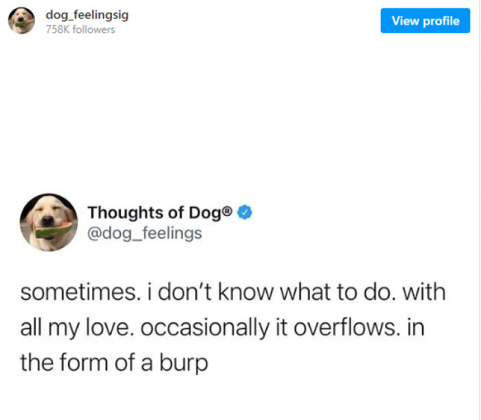 6. How dogs demonstrate affection for their pals!