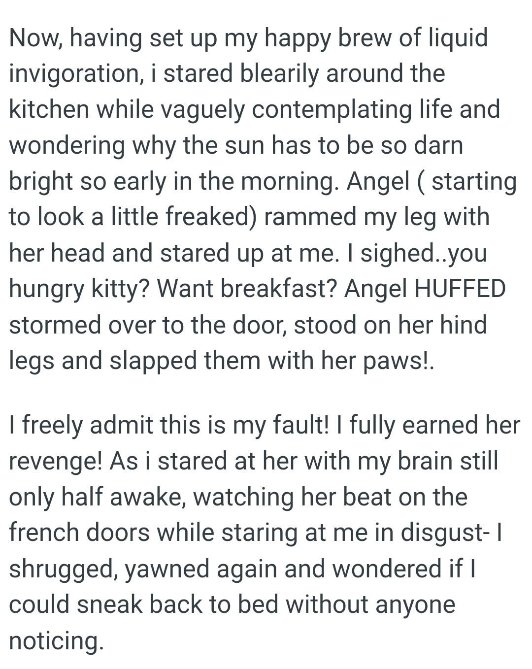 The OP watched the cat beat on the French doors while staring back in utter disgust