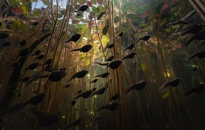 Finalist Exploration Photographer Of The Year 2020 - Maxwel Hohn