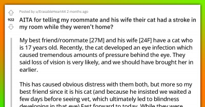 Cat Got a Stroke While Its Owner Was at Work, and the Person Who Notified Him Received a Furious Response