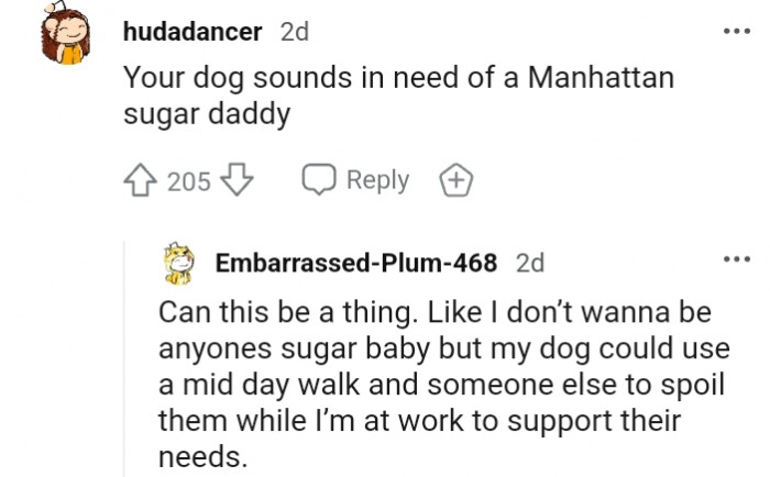 6. My dog could use a midday walk