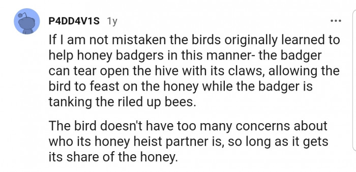 Seems humans aren't the only ones benefiting from this partnership