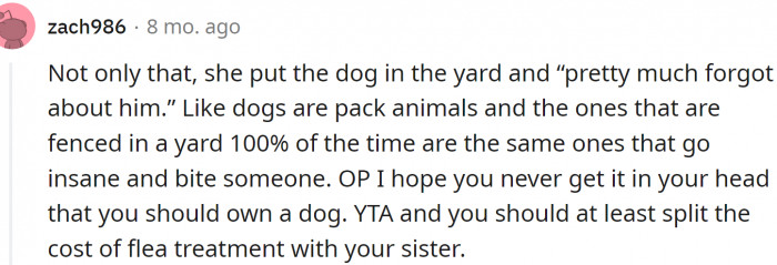 Dogs are pack animals, and they need company.