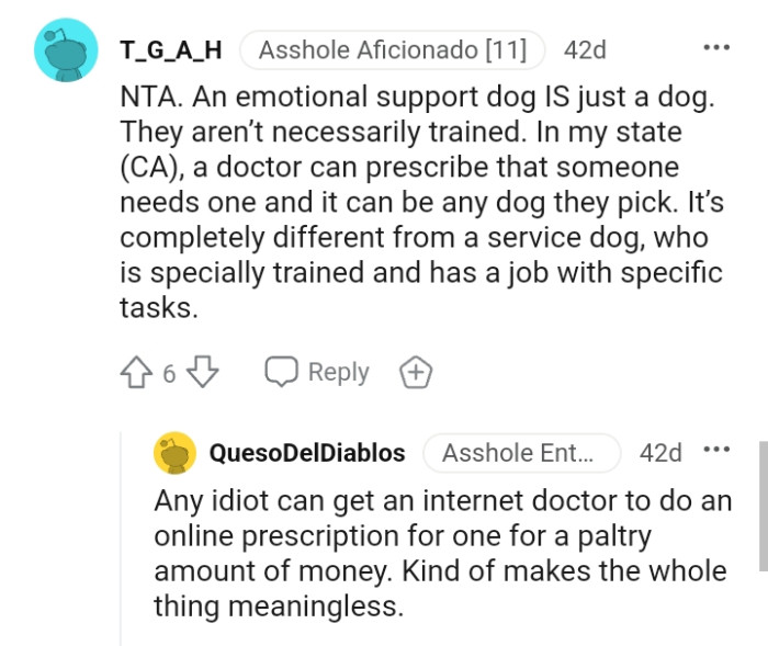 An Emotional Support Dog Is Totally Different from a Service Animal