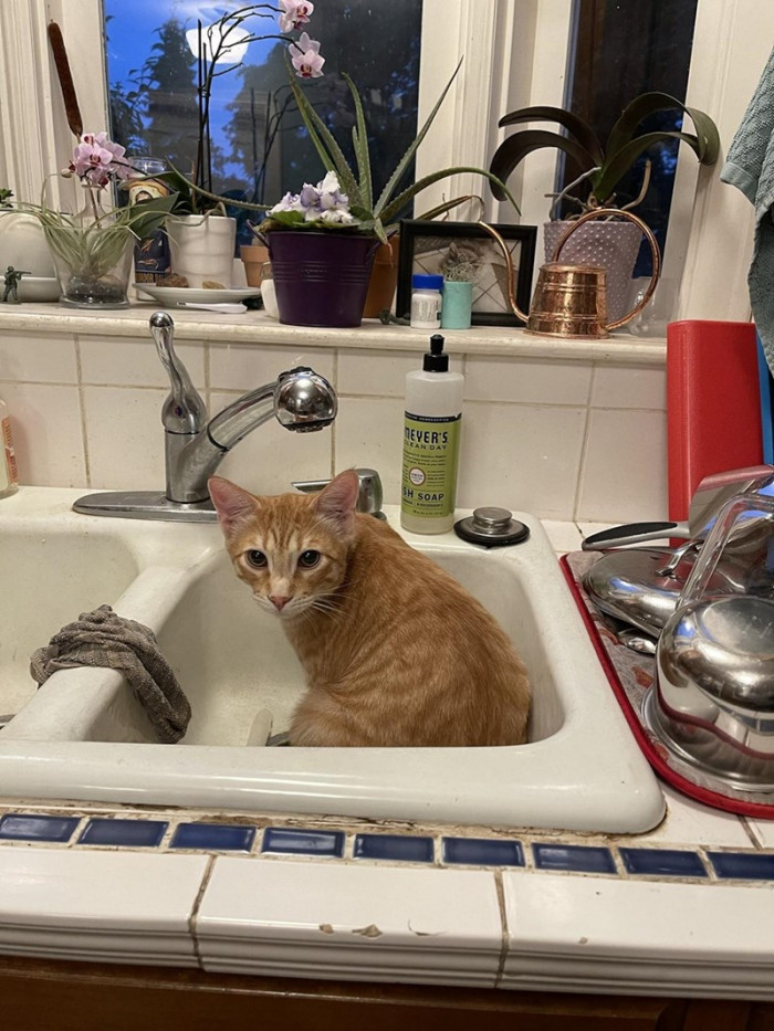 3. What? You're interrupting my alone time. Go away.