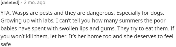 If OP is unwilling to eliminate the wasps, it may be worth allowing his roommate to take action for her safety and peace of mind, as it is her home as well.