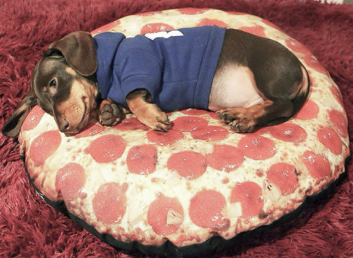 "Pizza With Extra Sausage"