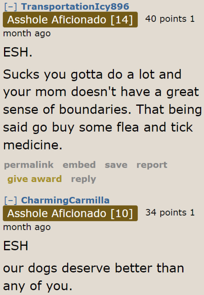 These people don't deserve the poor dogs. They're not being properly taken care of.