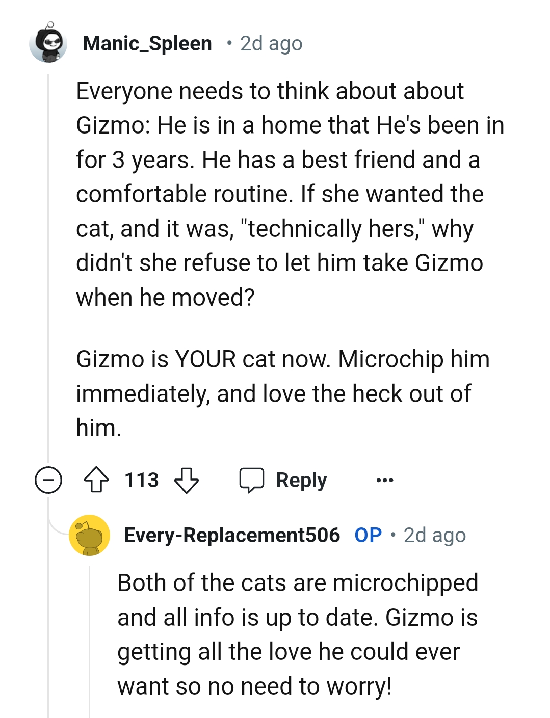 The OP should microchip the cat immediately
