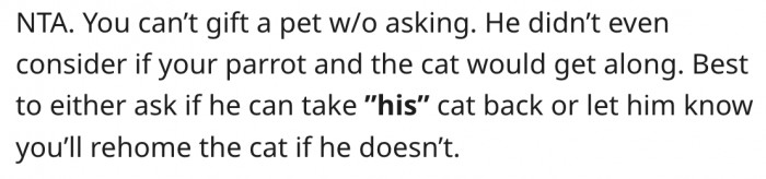 11. She should rehome the kitten if her fiancé isn't willing to take it.