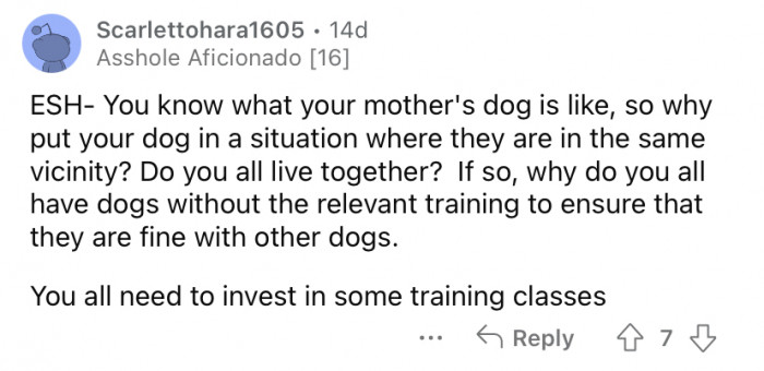 "Why do you all have dogs without the relevant training?"