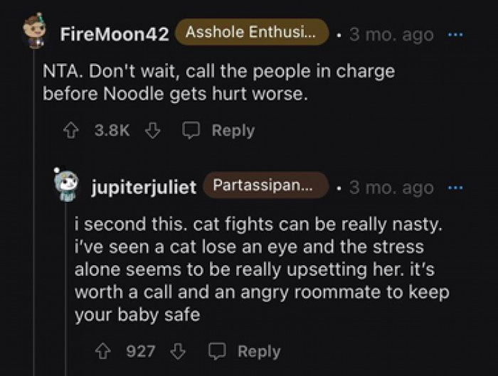 Landlord saves the day! And yes, we don’t want any cats to get hurt.