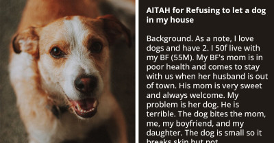 Redditor Refuses To Let Her BF's Mother's Aggressive Dog Into Her House, BF Insists