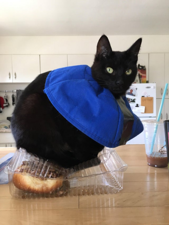 Yes, this is a good place to sit.