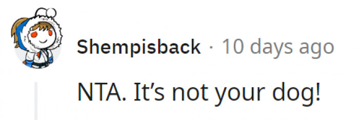 5. Not your dog, not your responsibility