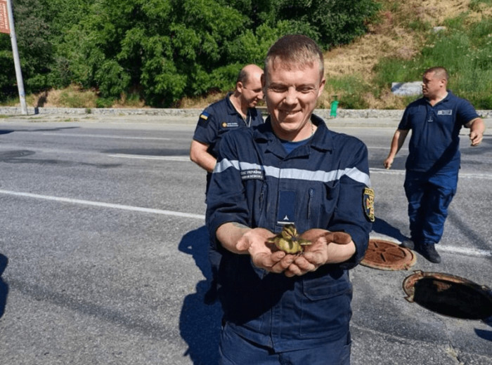 20. We all need a helping hand.