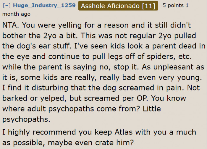 The OP needs to watch over her dog to keep this from happening again.