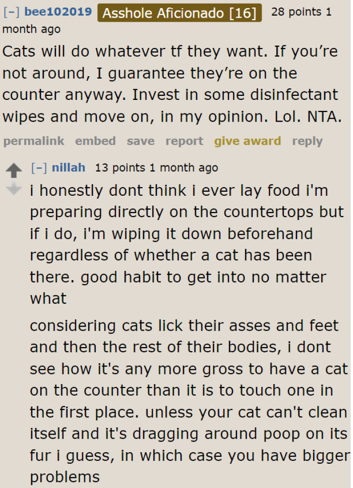The OP can still correct the behavior of his pets since they're still kittens. However, if it becomes a habit, then he has no choice but to clean the counter regularly.