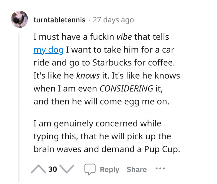 15. "I can read your mind already." -dog