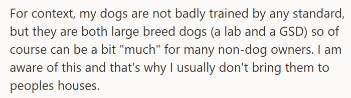 The pups were sweet, just… large enough to count as temporary roommates rather than guests.