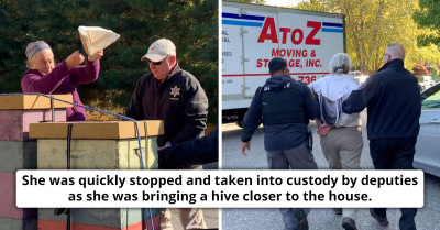 Sheriff Deputies Serve a Woman with an Eviction Notice; She Attacks Them with a Swarm of Bees