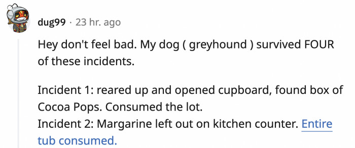 Pets are very, very prone to accidents because they do not know any better