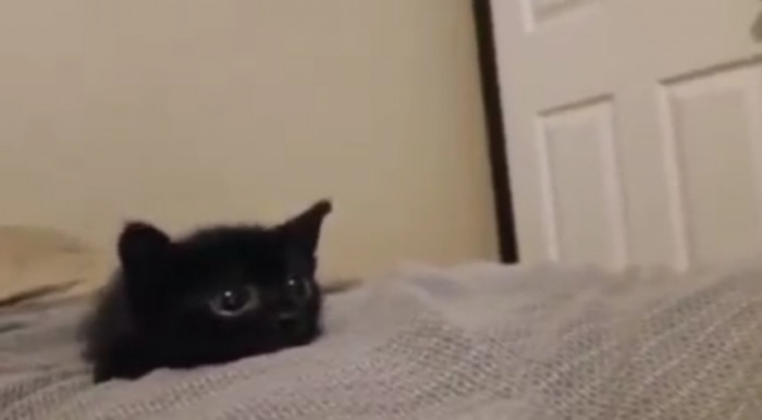 20. Adorable big eyes!