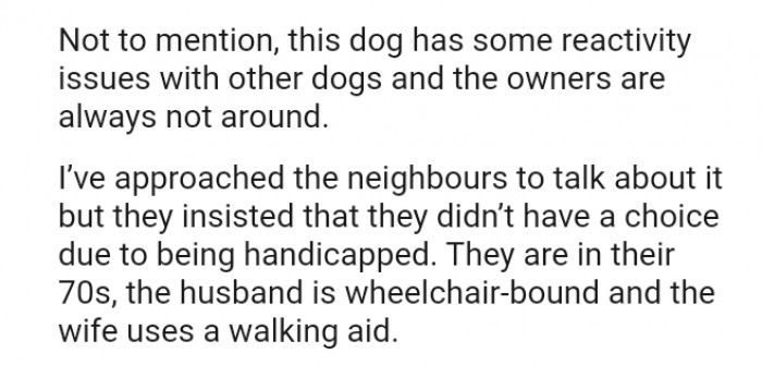 This Dog Has Some Reactivity Issues with Other Dogs