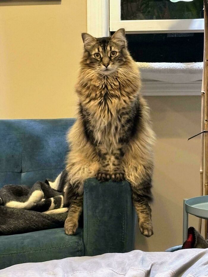 29. She’s buffering. Emotionally and cosmically.