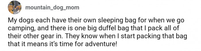 6. Designated sleeping bags for each dog for when they go camping