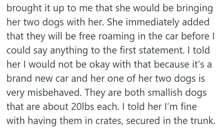 Because nothing says “holiday spirit” like being told your brand-new car is now a dog park.