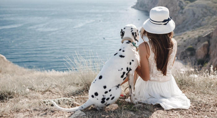 Main 101 Dalmatians Characters