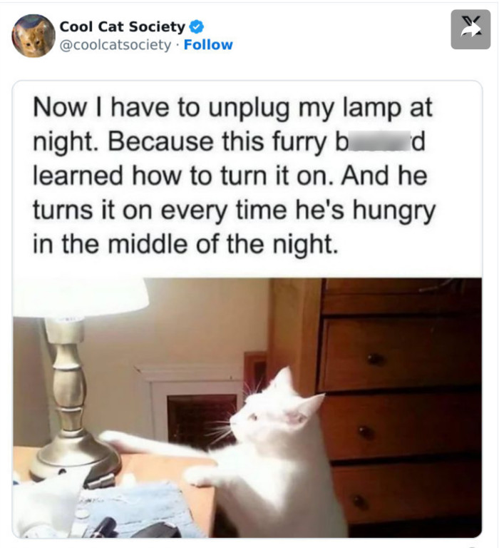 5. “Feed me or no sleep for you!”