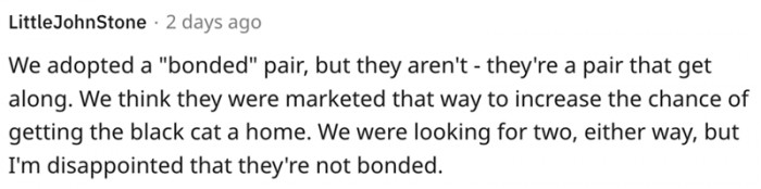 16. This person is disappointed the cats aren't bonded