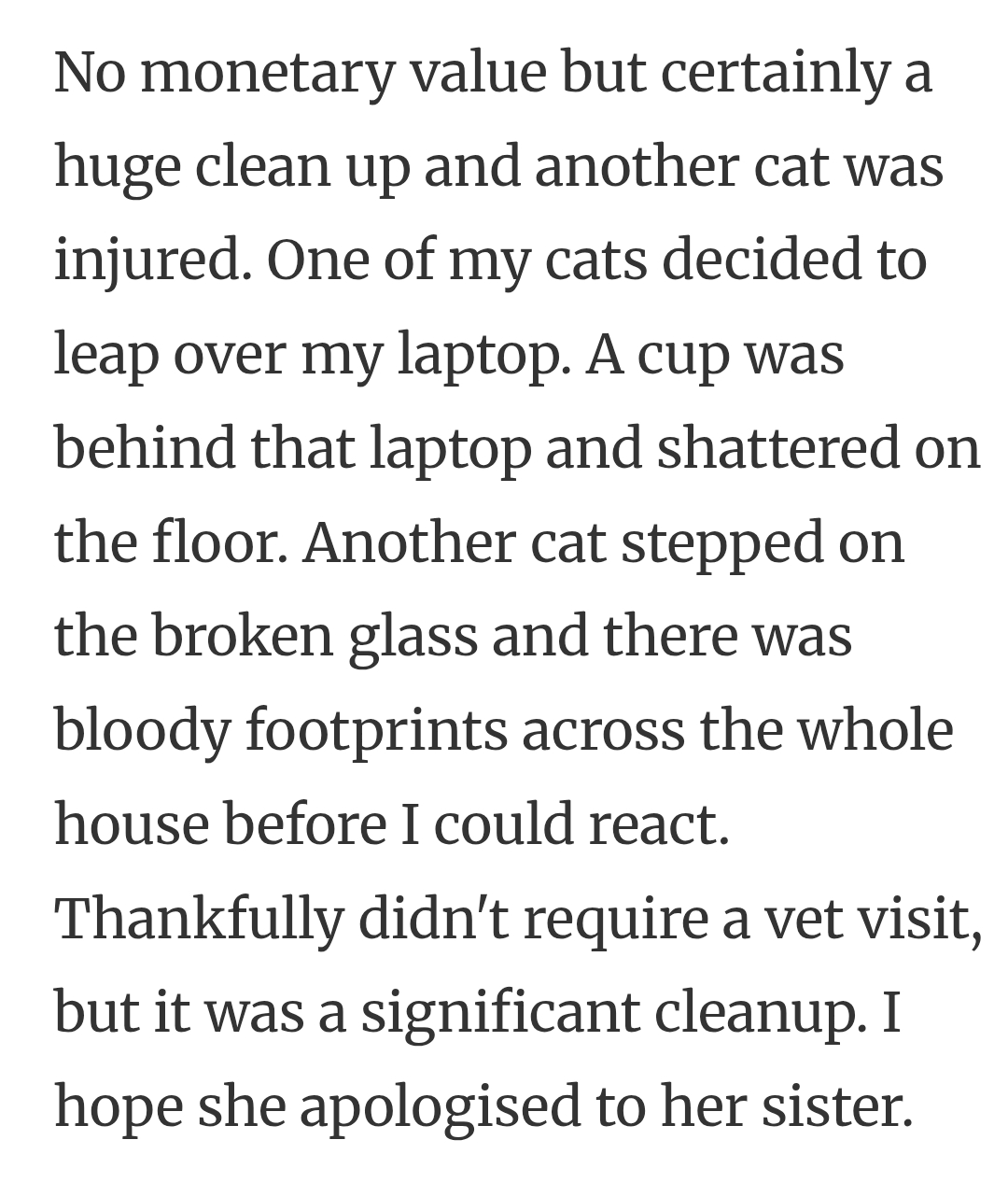 23. Cat leaps over laptop