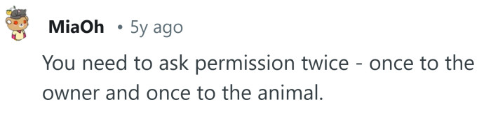 They need to ask you AND your dogs!