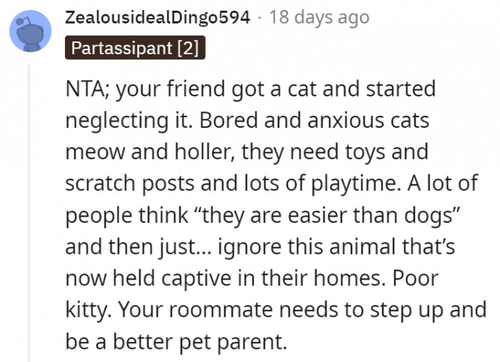 1. The roommate needs to step up and be a better cat parent and roommate