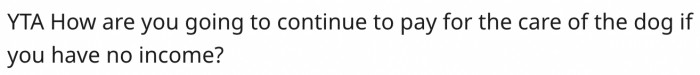 15. She can't care for the dog without an income.