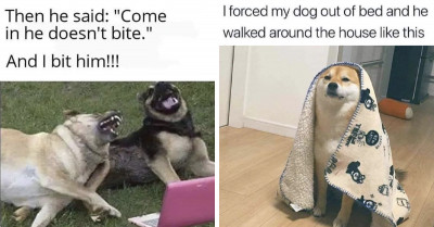 Here Are 19 Of The Funniest Social Media Posts About The Goofiest Dogs And Cats