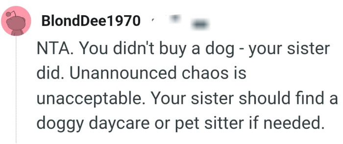 Finding a dog daycare